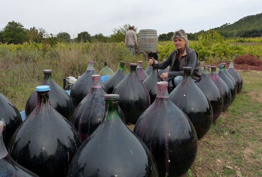 Des grosses bombonnes en verre contenant du vin rouge pour le faire vieillir