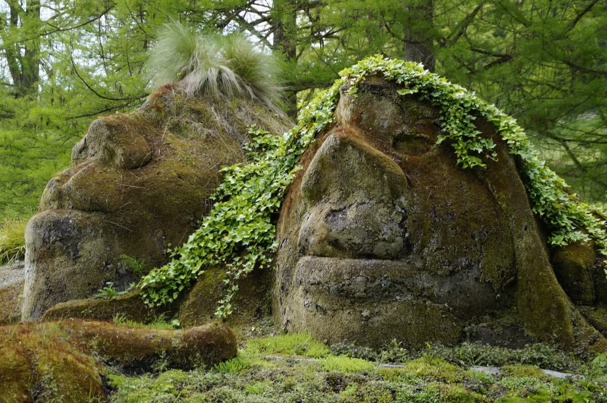 control_gnome_troll_mythical_creatures_fairy_tales_bemoost_mossy_moss_covered-1075123